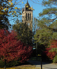 Iowa State University - Campanile in the fall